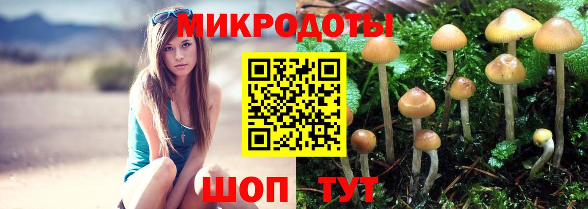 Когалым  Псилоцибиновые грибы Magic Shrooms  Вход с VPN 